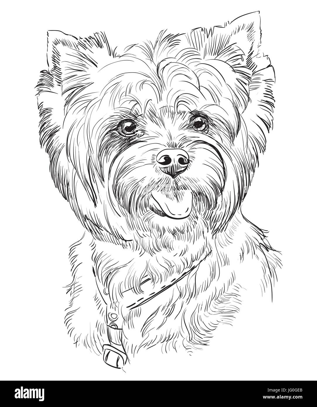 Vektor Porträt der Yorkshire-Terrier in schwarzer Farbe hand Zeichnung Illustration auf weißem Hintergrund Stock Vektor