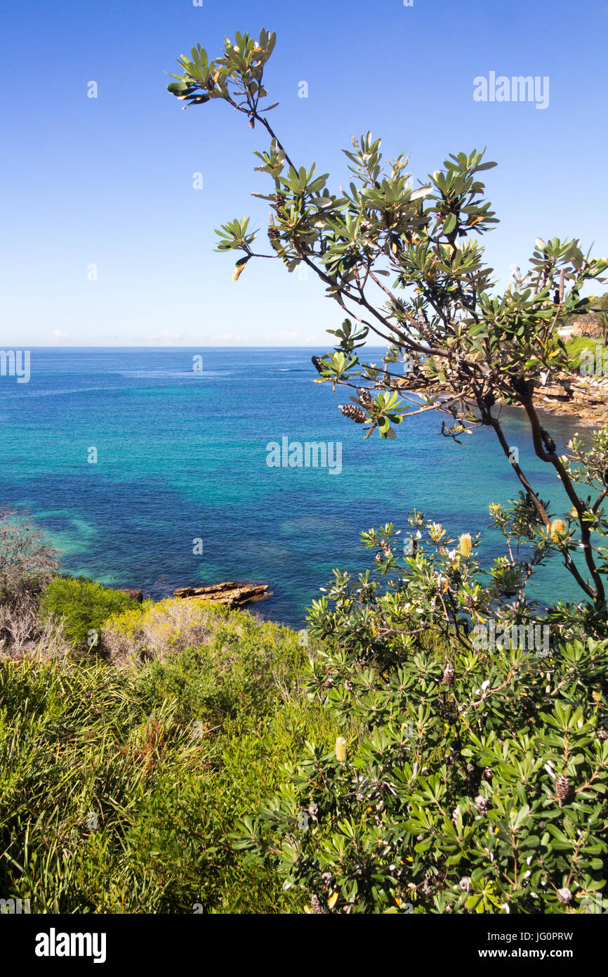 Blick über Gordons Bay, Sydney, New South Wales, Australien Stockfoto