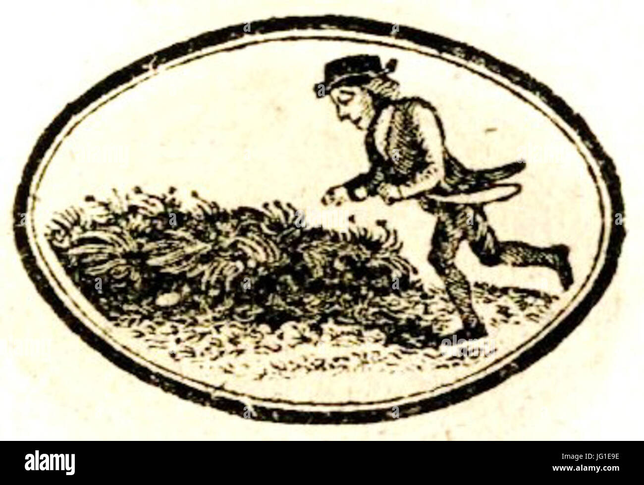 Gammer Gurton s Garland Kindergarten Lieder und Toby kitzeln s Sammlung von Rätsel Pg Räuber Stockfoto