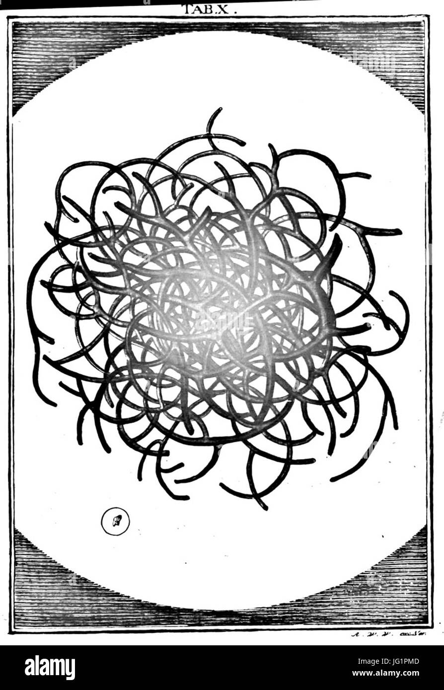 De Augen Gemüths (Ledermüller) 031 Stockfoto De Augen Gemüths (Ledermüller) 031 Stockfoto