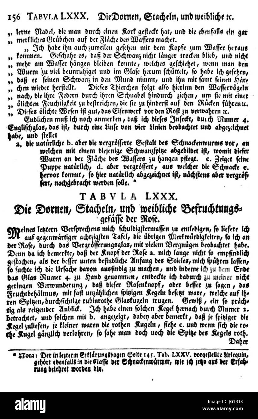 De Augen Gemüths (Ledermüller) 232 Stockfoto