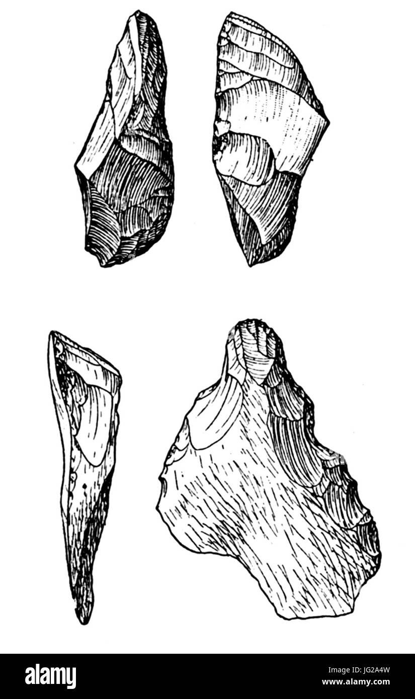 Grattoirs carénés Stockfoto