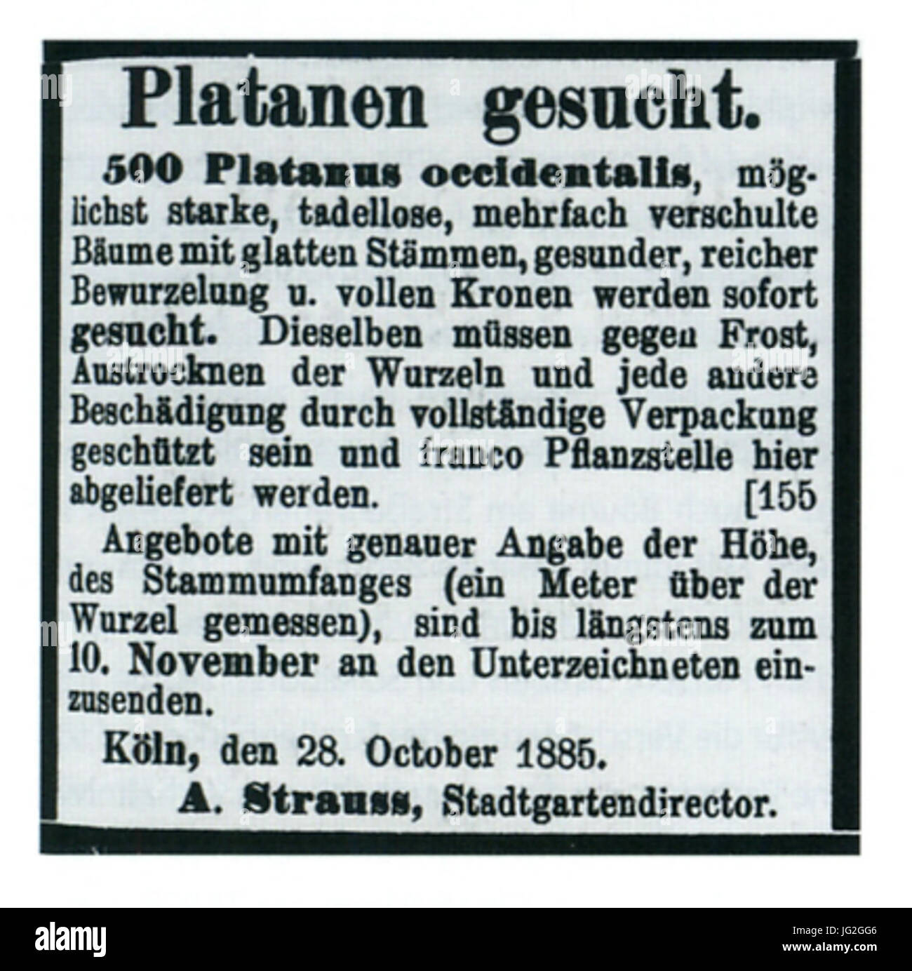 Köln 1885 Suchanzeige Zur Straßenbepflanzung Stockfoto