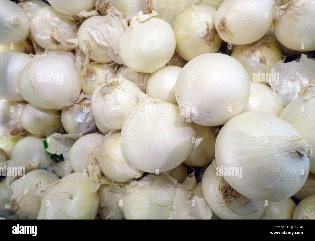 Viele weiße Zwiebel in der Landwirt-store Stockfoto