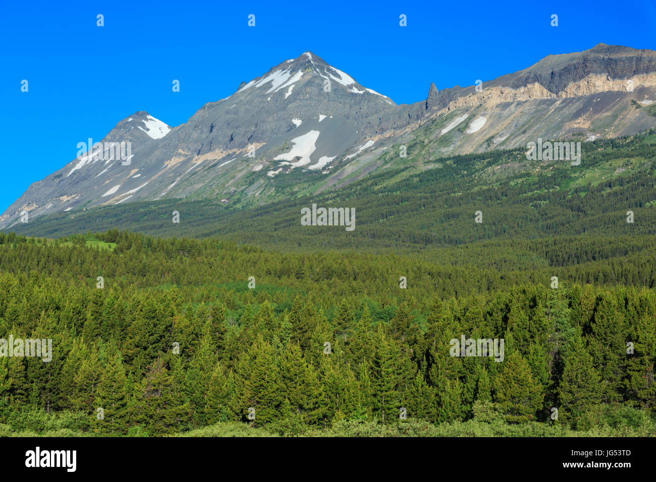 kleinen Hund und Gipfel Berge im Glacier-Nationalpark über Marias pass in der Nähe von East Glacier Park, montana Stockfoto