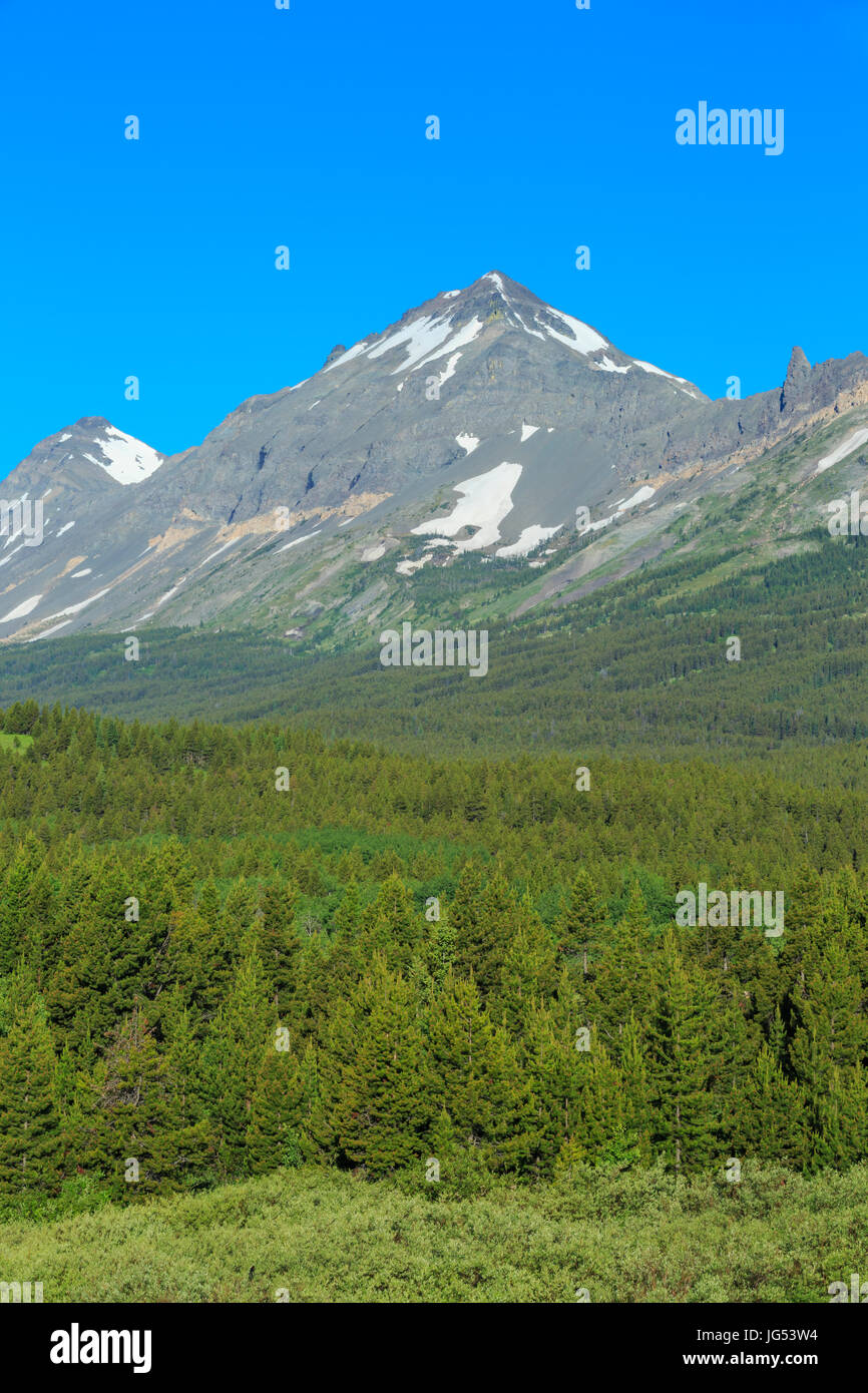 kleinen Hund und Gipfel Berge im Glacier-Nationalpark über Marias pass in der Nähe von East Glacier Park, montana Stockfoto