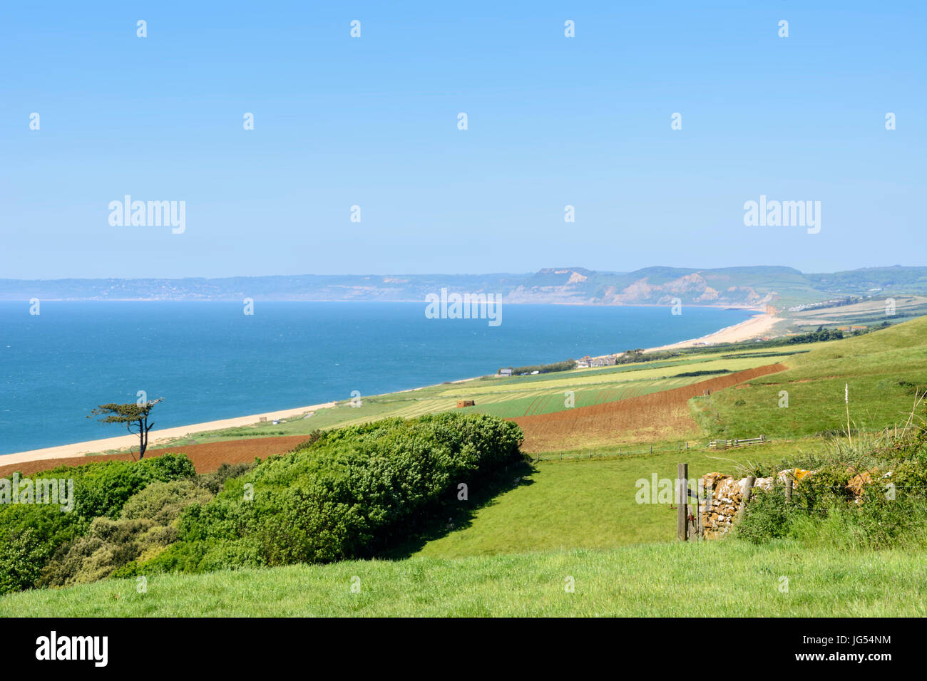 Ansicht der Jurassic Coast aus dem Aussichtspunkt an Abbotsbury subtropische Gärten, Abbotsbury, Dorset, England, UK, Europa Stockfoto