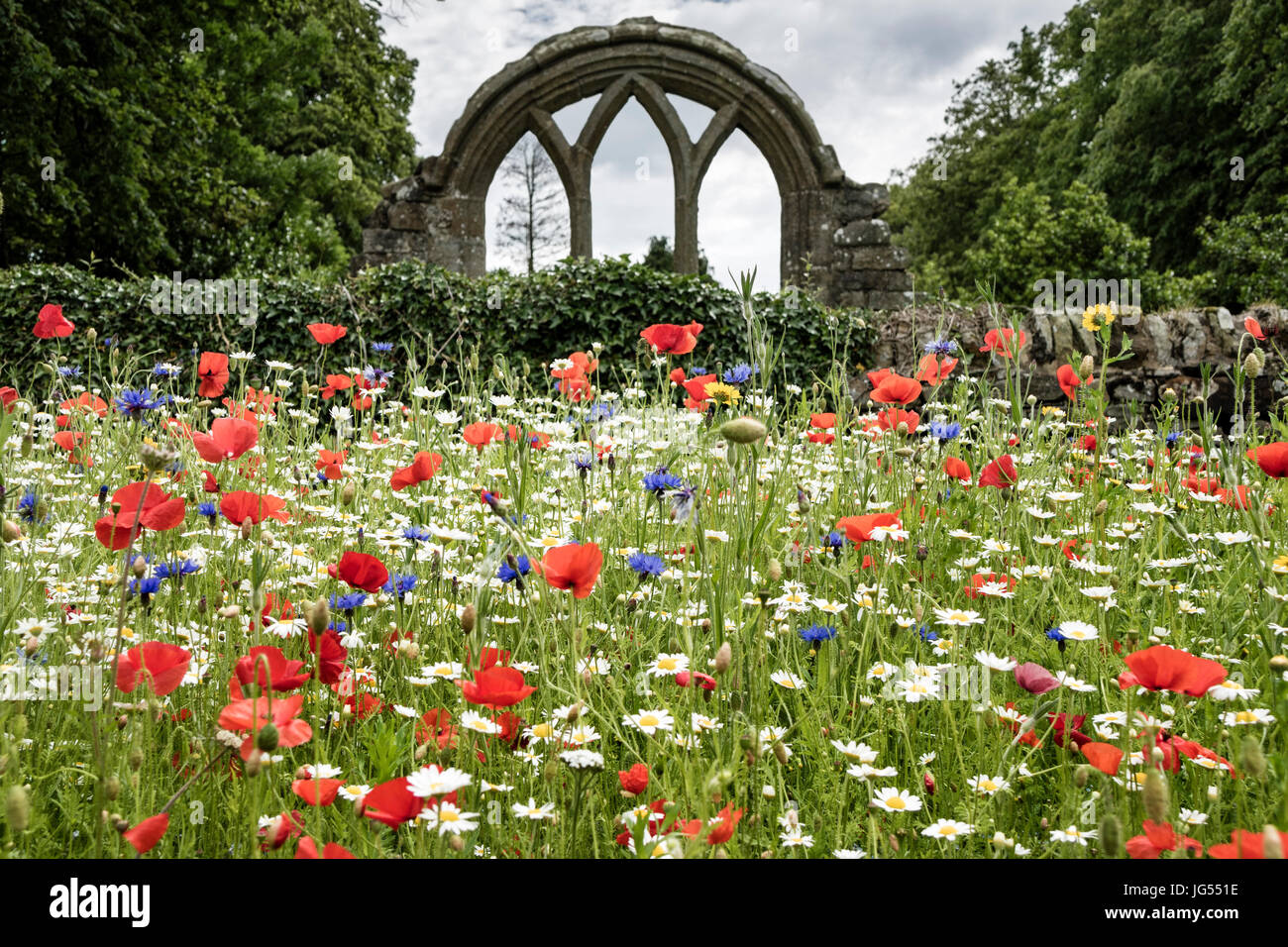 Wild Flower Garden, St. Maria die Jungfrau Kirche, Middleton-in-Teesdale, County Durham, Großbritannien Stockfoto
