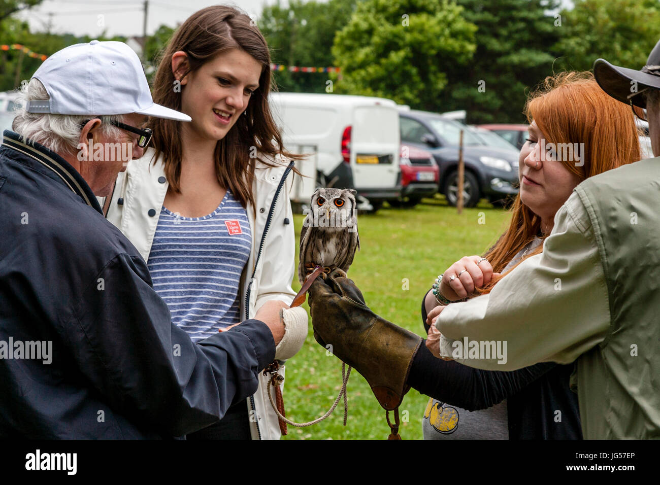 Exotische Vögel auf dem Display an der Nutley Village Fete, Nutley, Sussex, UK Stockfoto