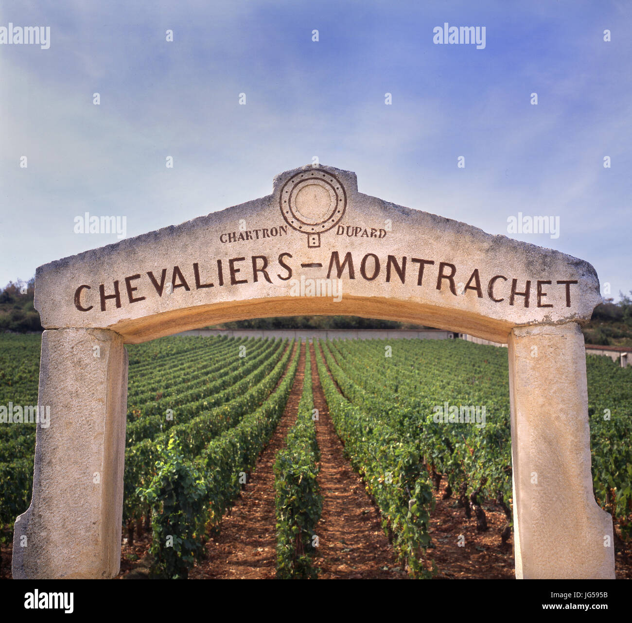 Chevaliers-Montrachet Steinbogen Eingang framing Premier Cru Bourgogne Chardonnay vineyard Puligny-Montrachet, Bourgogne Côte d'Or, Frankreich. Stockfoto