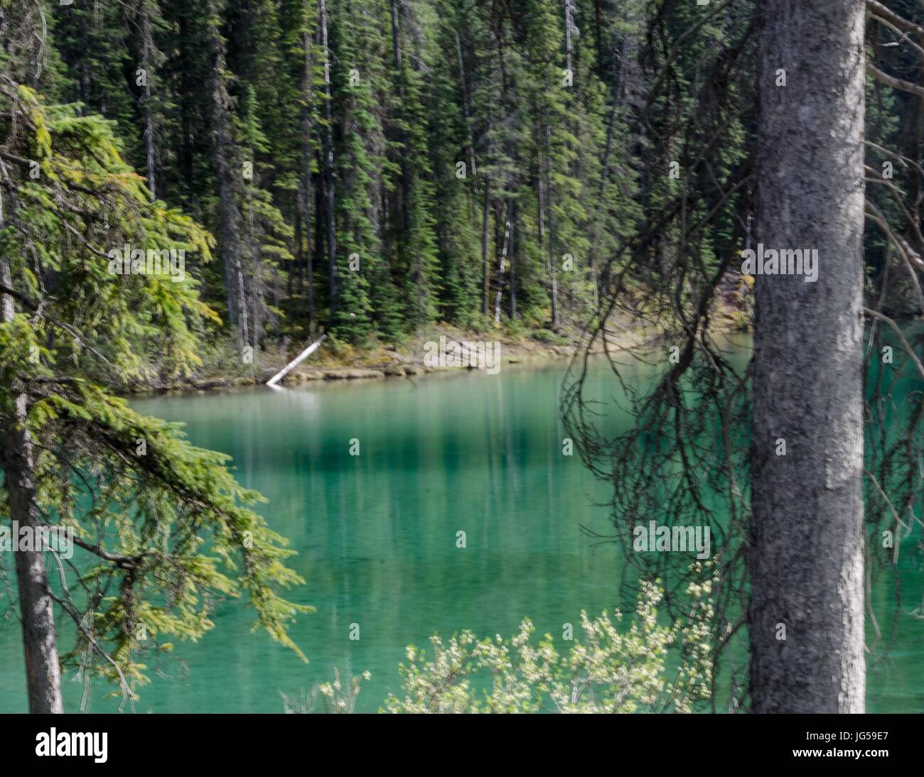 Olive See, Kootenay National Park, b.c., Kanada Stockfoto