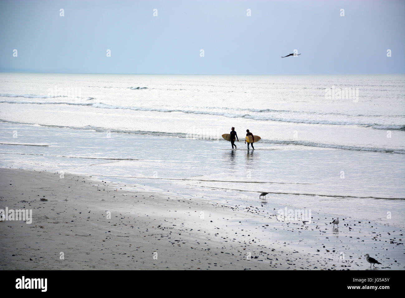 Surfer auf eine lange Strecke von Muizenberg Beach an der False Bay, Cape Town South Africa Stockfoto