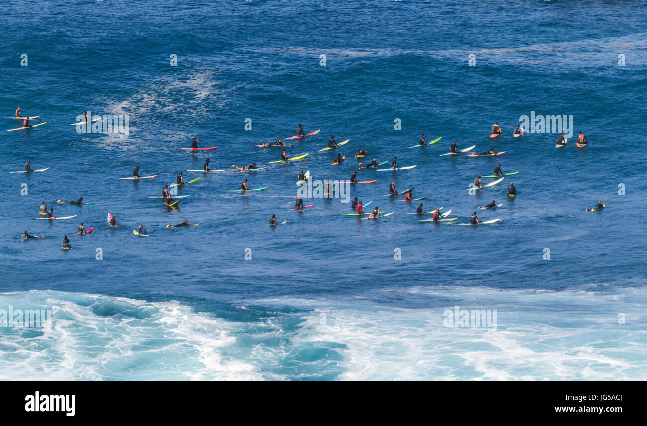 Waimea Bay Oahu Hawaii, Surfen auf dem North Shore während einer großen Schwellen Stockfoto