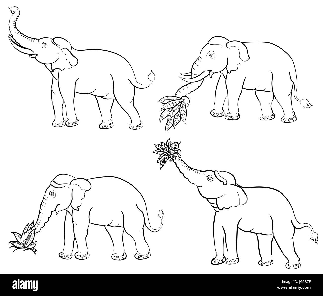Vektor-Illustration einer Handzeichnung Elefanten set Stock Vektor