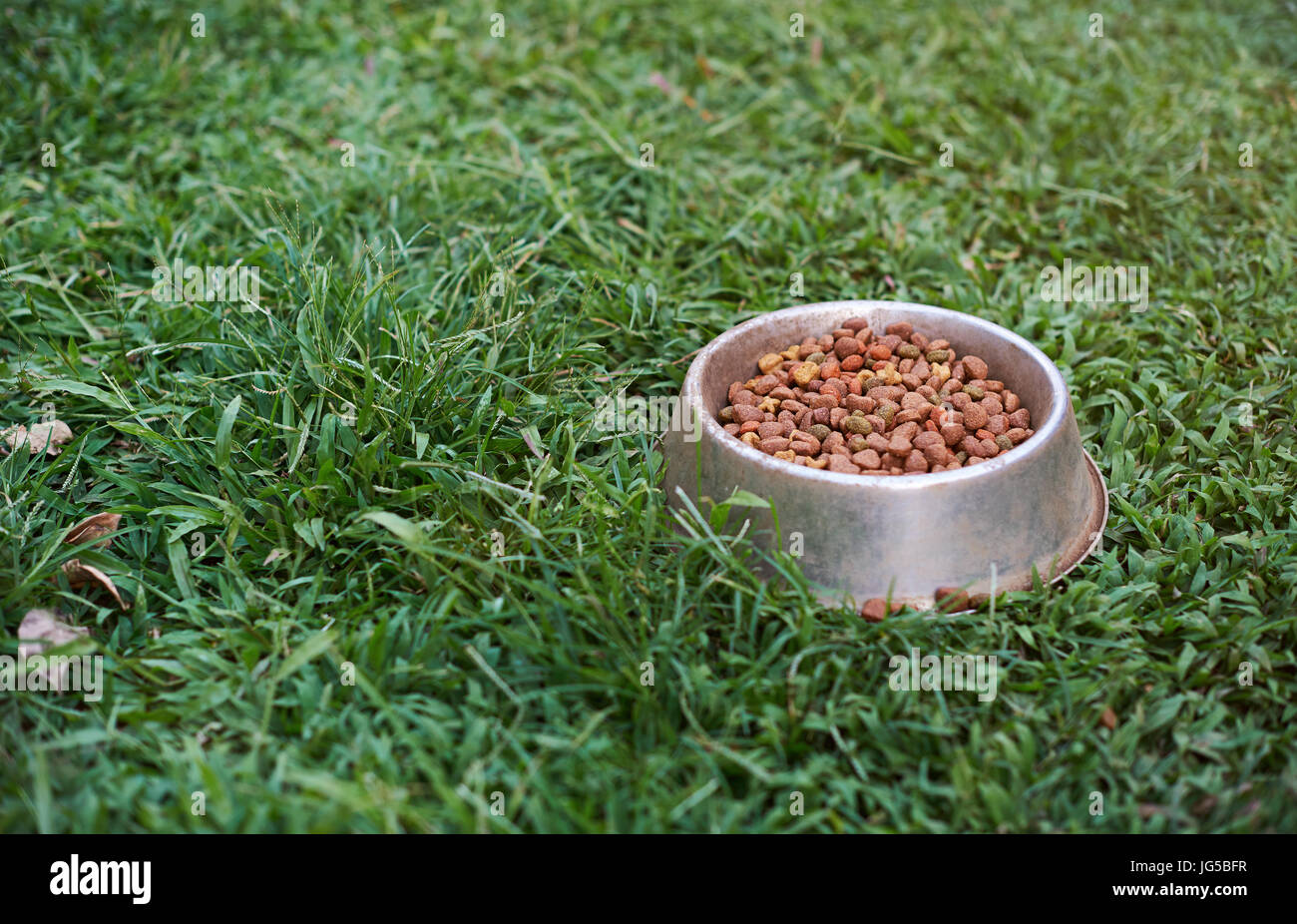 Metall-Behälter für Hundefutter auf grünen Rasen Hintergrund stehen Stockfoto