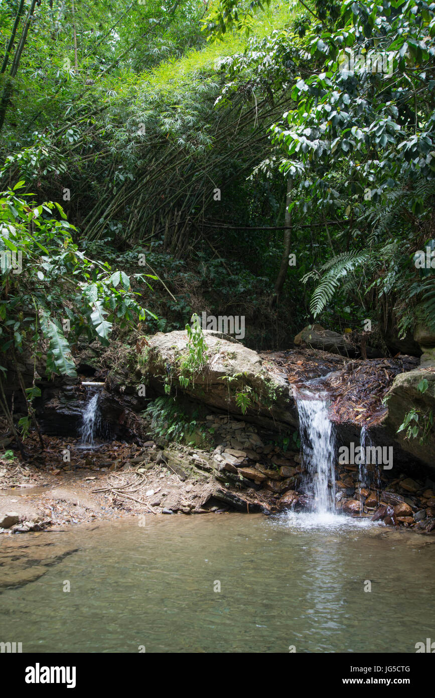 Wasserfall und Pool, Asa Wright Centre, Trinidad. Stockfoto