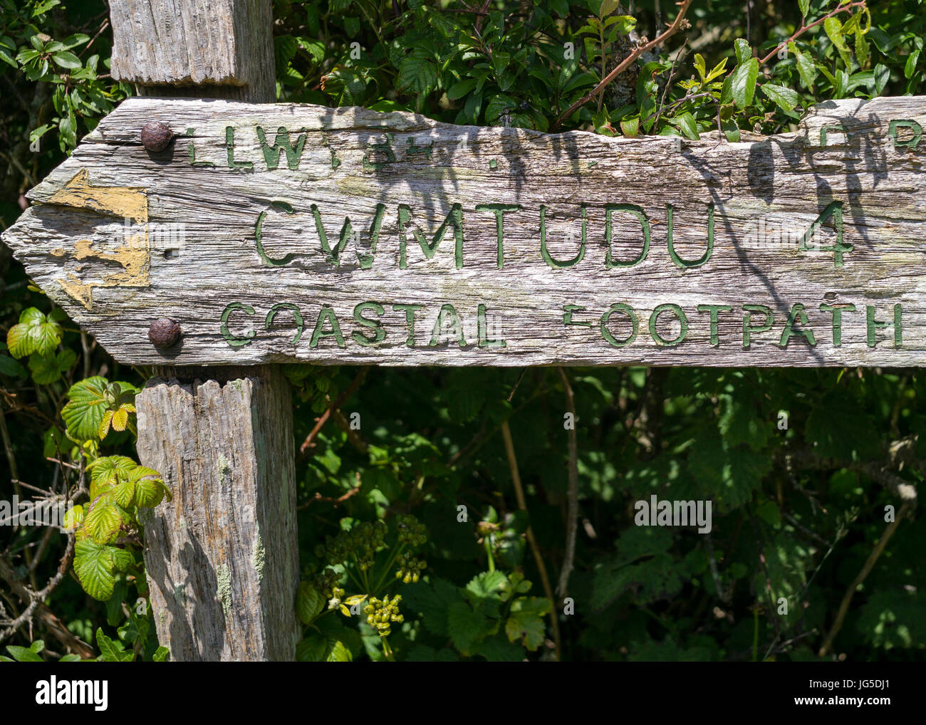 Vier Meilen Cwmtudu nach Ceredigion coastal Wanderweg, Wales, UK Stockfoto