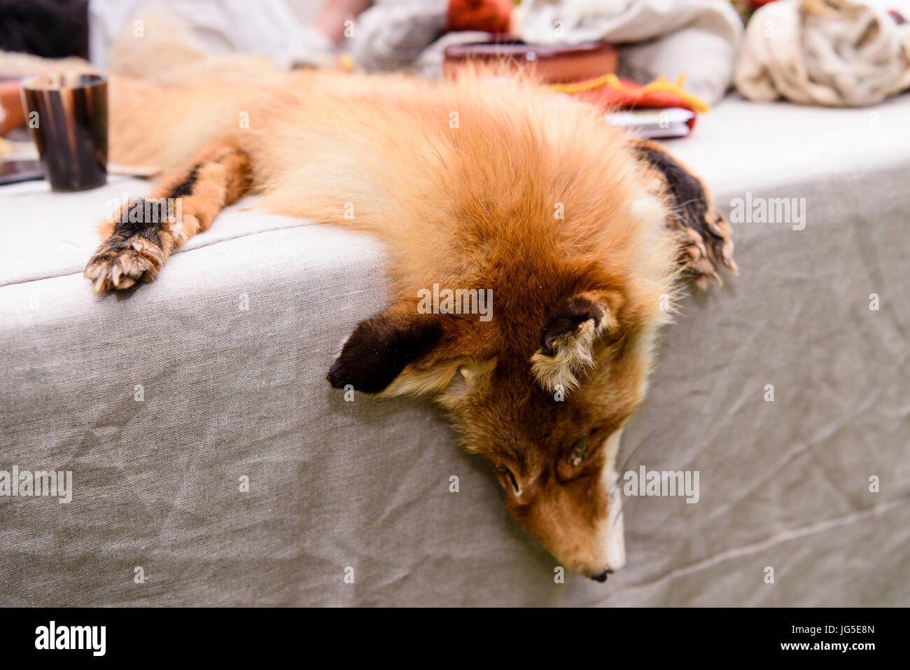 Ein Fuchs Fell liegt auf einem Tisch in ein mittelalterliches Lager. Stockfoto