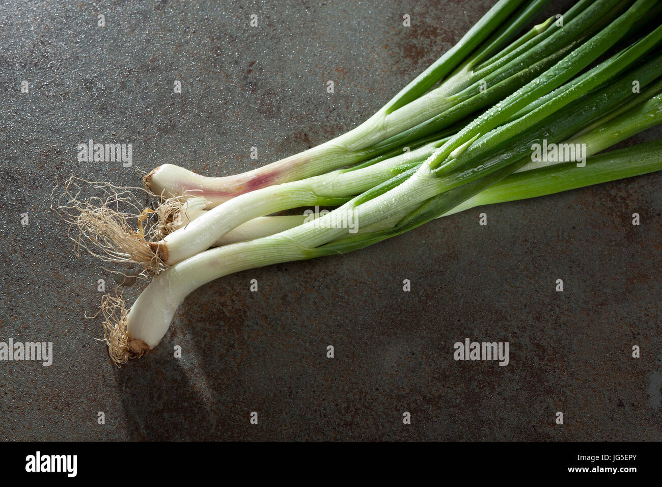 Frische grüne Zwiebel Stiele mit Wassertropfen auf Glaskeramik-Kochfeld-Hintergrund Stockfoto