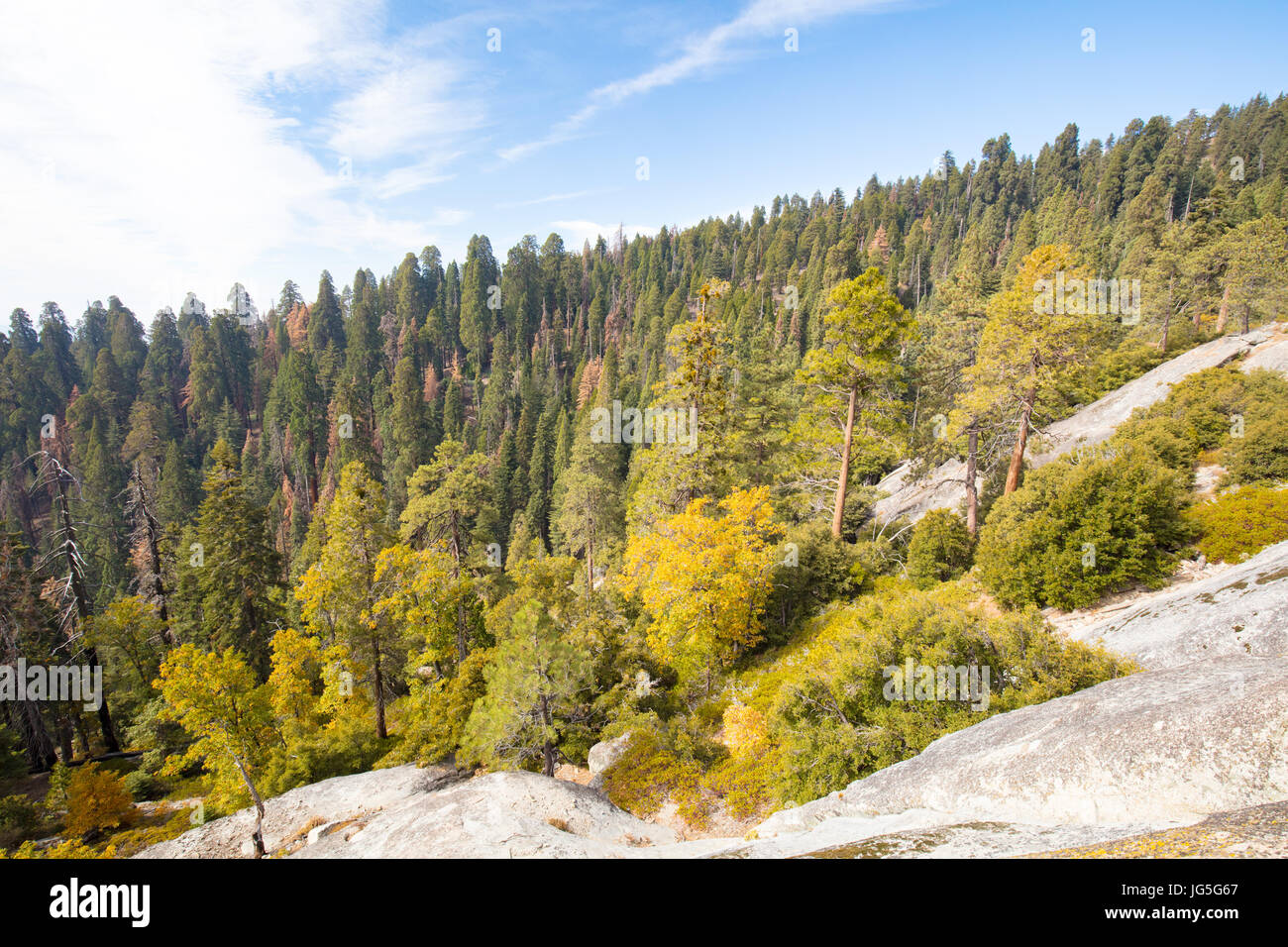 Aussichtspunkt von Generals Highway durch Sequoia National Park in Kalifornien, USA Stockfoto