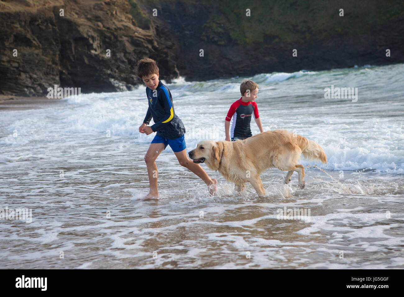 Zwei Jungen spielen mit ihren golden Retriever in den Wellen, Cornwall, UK Stockfoto