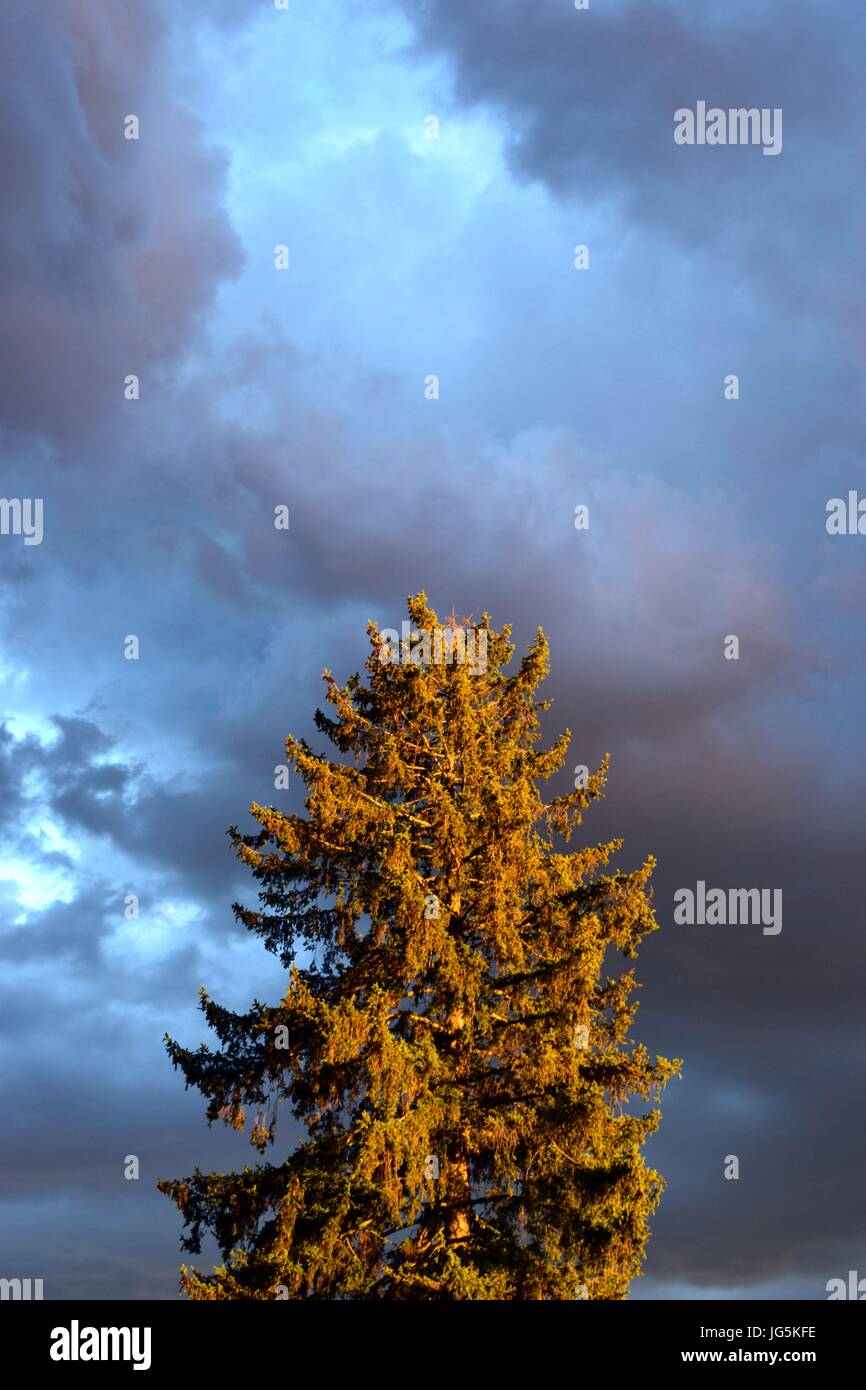 Stürmisches Wetter Mit Dunklen Wolken Und Sonnenschein Stockfoto