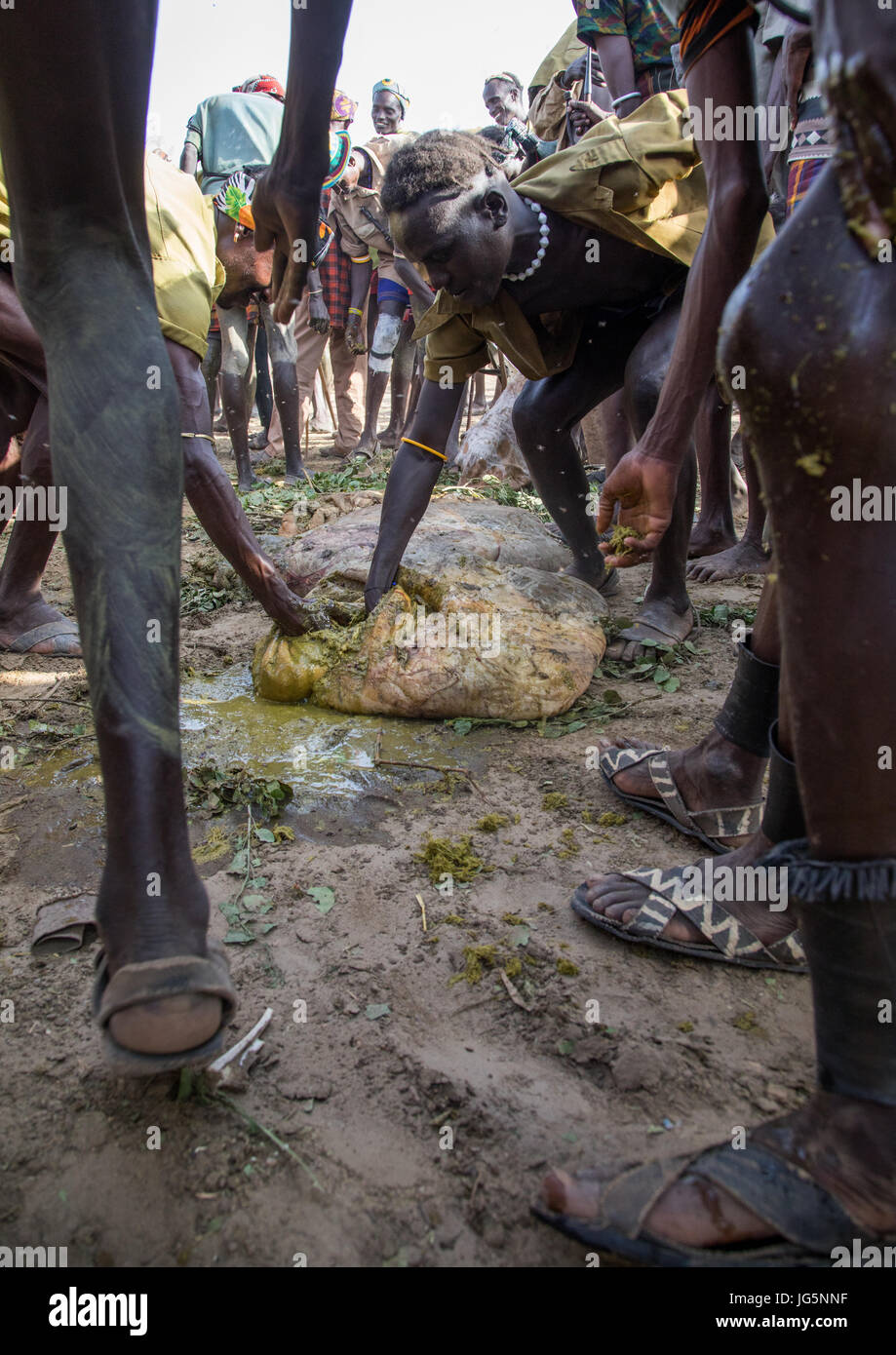 Menschen, die sich mit Kuh Dungs zu bedecken, während der Zeremonie stolz Ochsen in den Dassanech Stamm, Turkana County, Omorate, Äthiopien Stockfoto