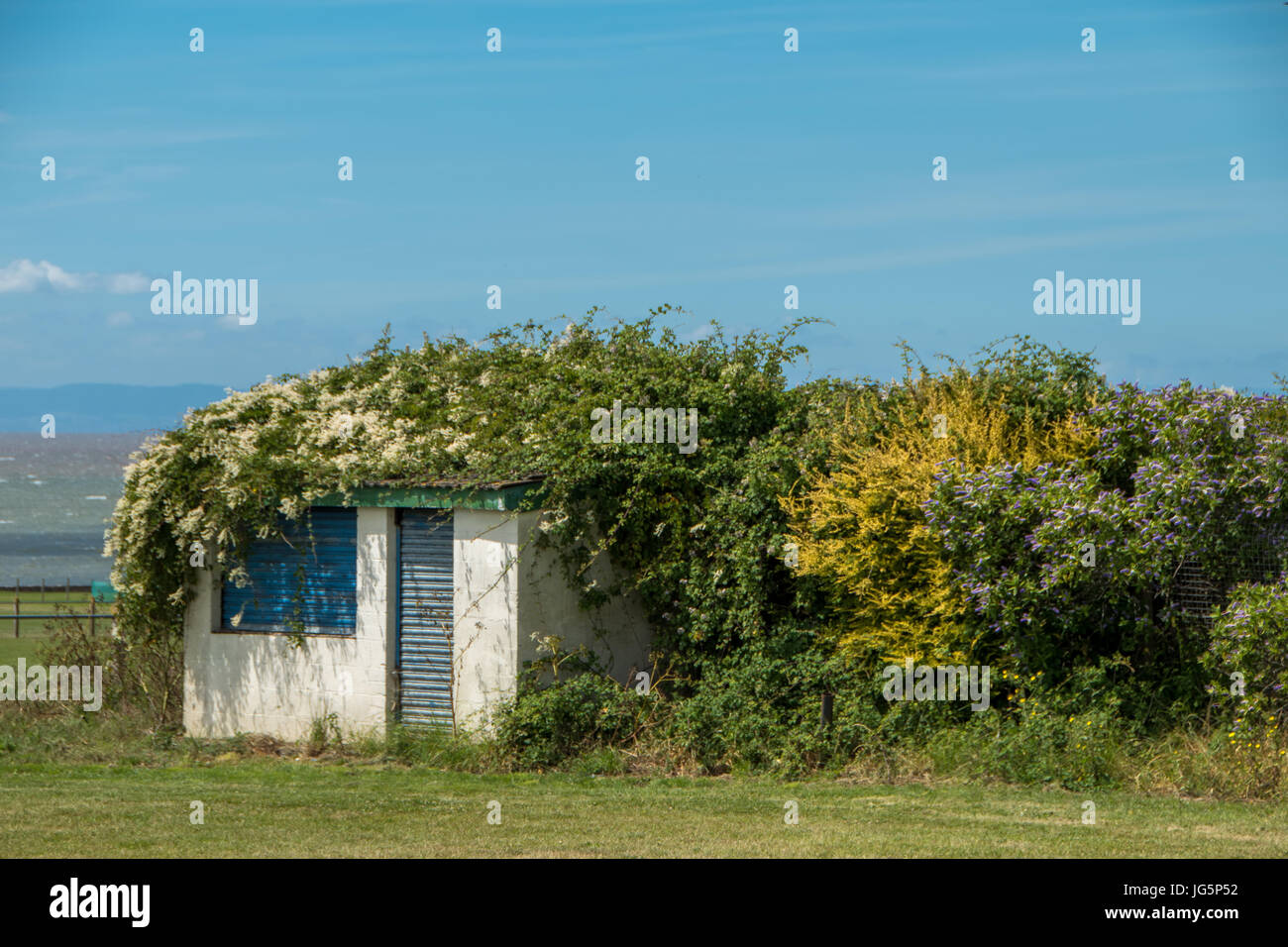 Natur führt zurück Stockfoto