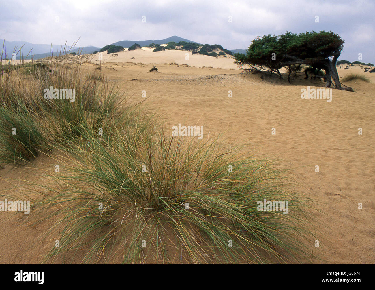 Arbus, Sardinien. Piscinas Wüste Stockfoto