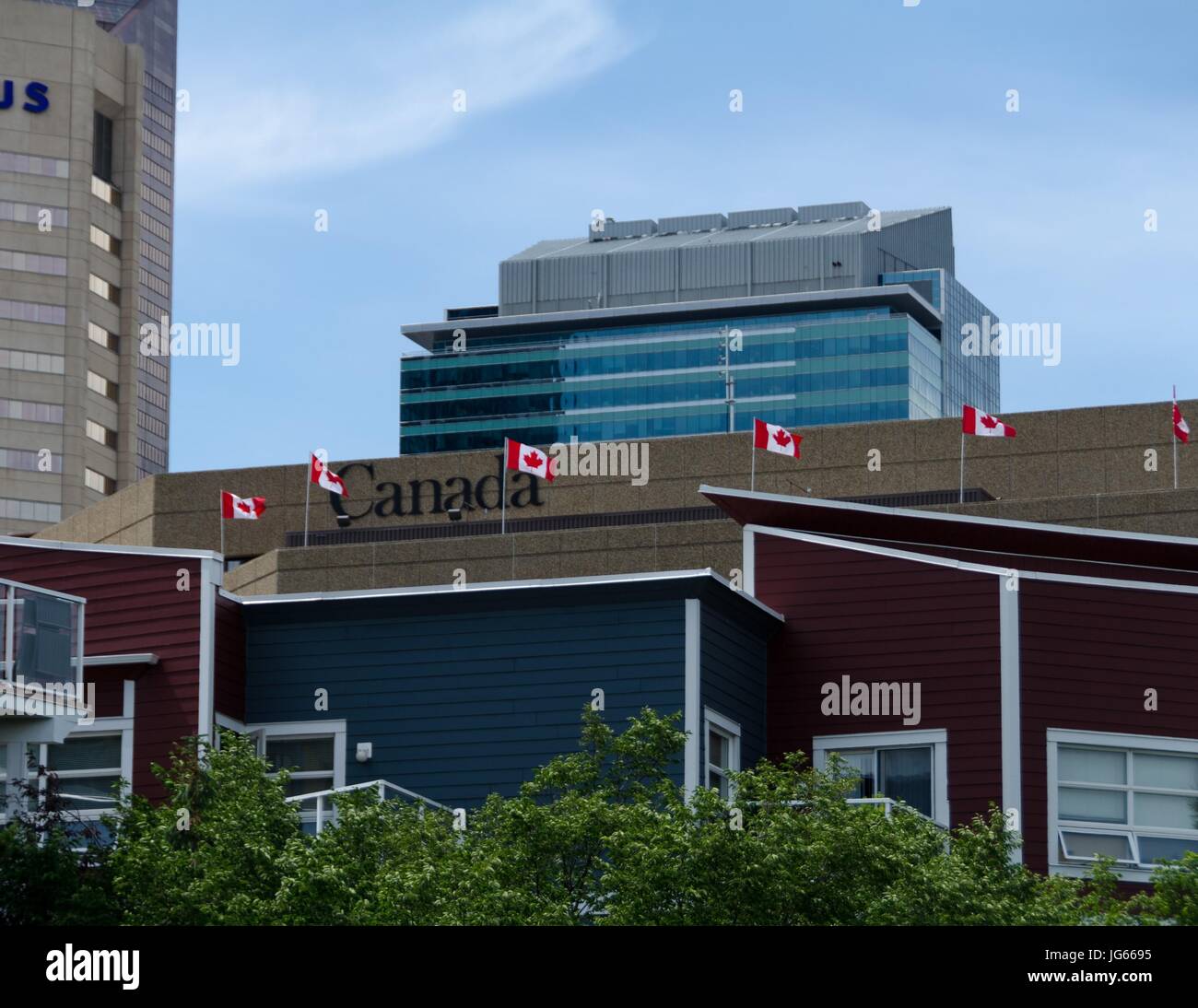 Kanadische Flaggen wehen aus dem Harry Hays Gebäude während der Canada Day Feierlichkeiten in Calgary, Alberta Stockfoto