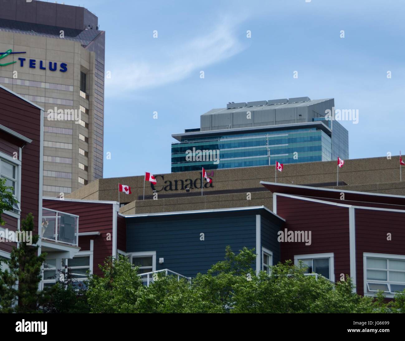 Kanadische Flaggen wehen aus dem Harry Hays Gebäude während der Canada Day Feierlichkeiten in Calgary, Alberta Stockfoto