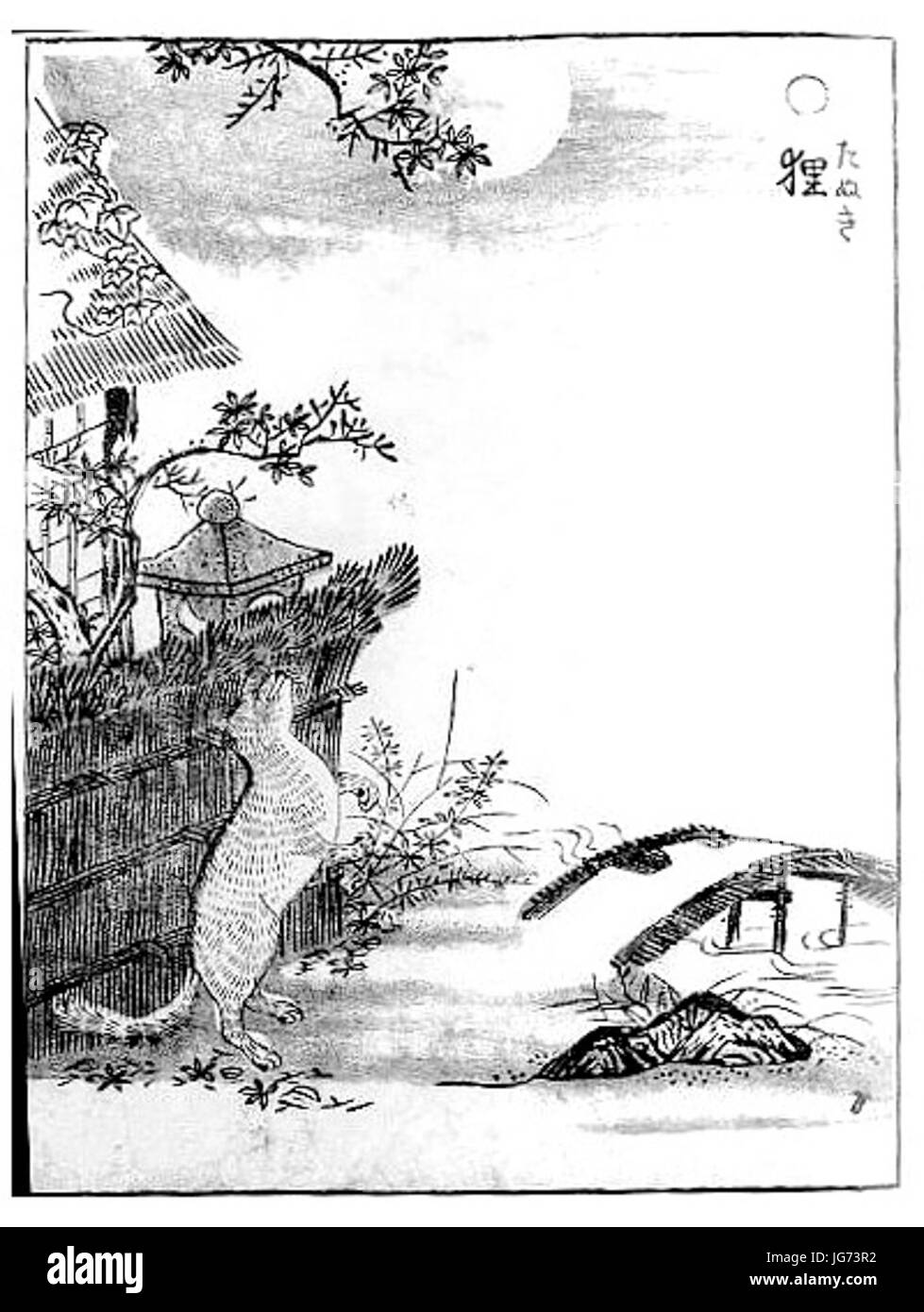 SekienTanuki Stockfoto