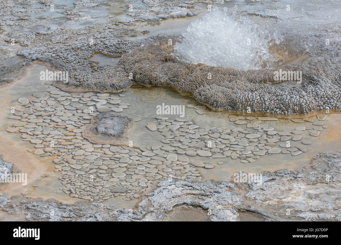 Heißer Frühling ausbricht, Yellowstone-Nationalpark, Wyoming, USA Stockfoto