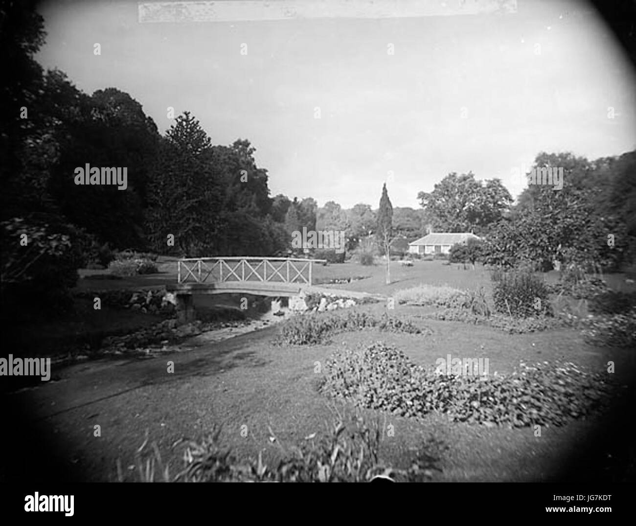 Der Blumengarten in Plas Coed-Coch Betws Yn Rhos NLW3361135 Stockfoto