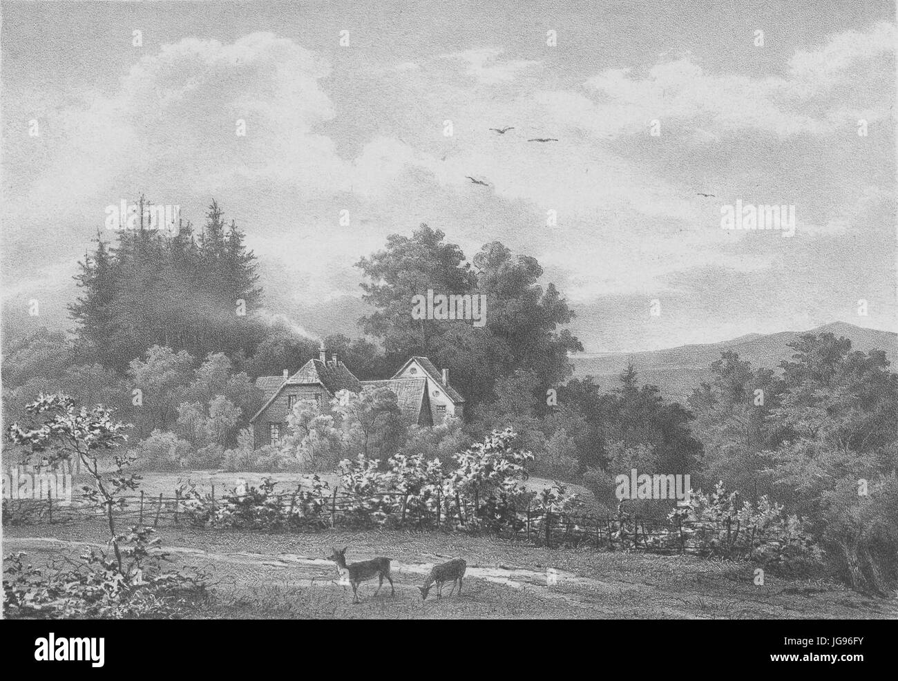 Menke - Hartröhren Stockfoto