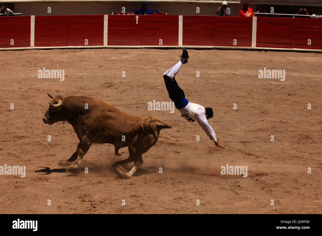 Bull Ring Akrobatik Stockfoto