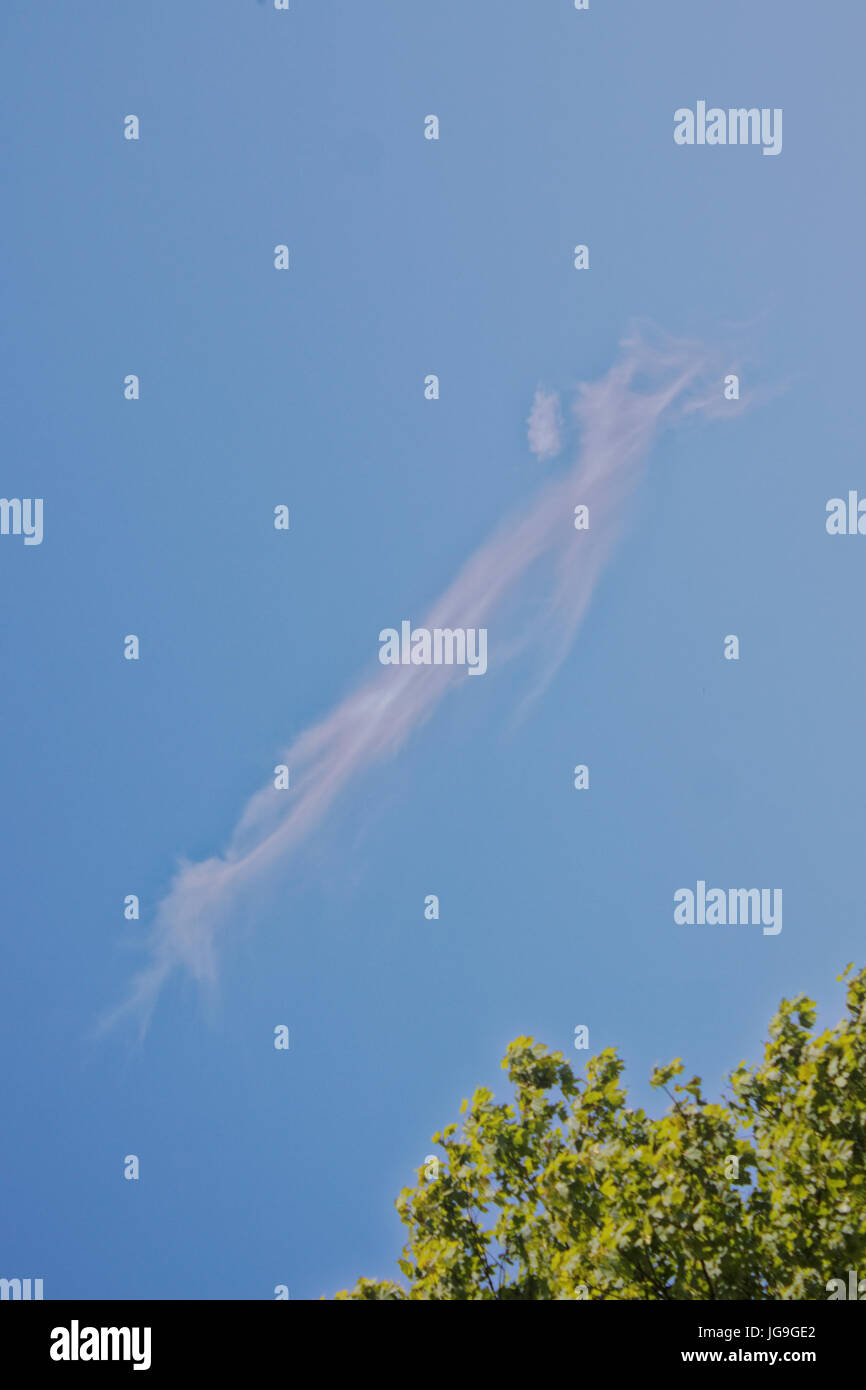 Gesichts Pareidolie blauer Himmel mit weißen Wolken, die aussehen wie Erdmännchen oder ein fliegender Dämon Stockfoto