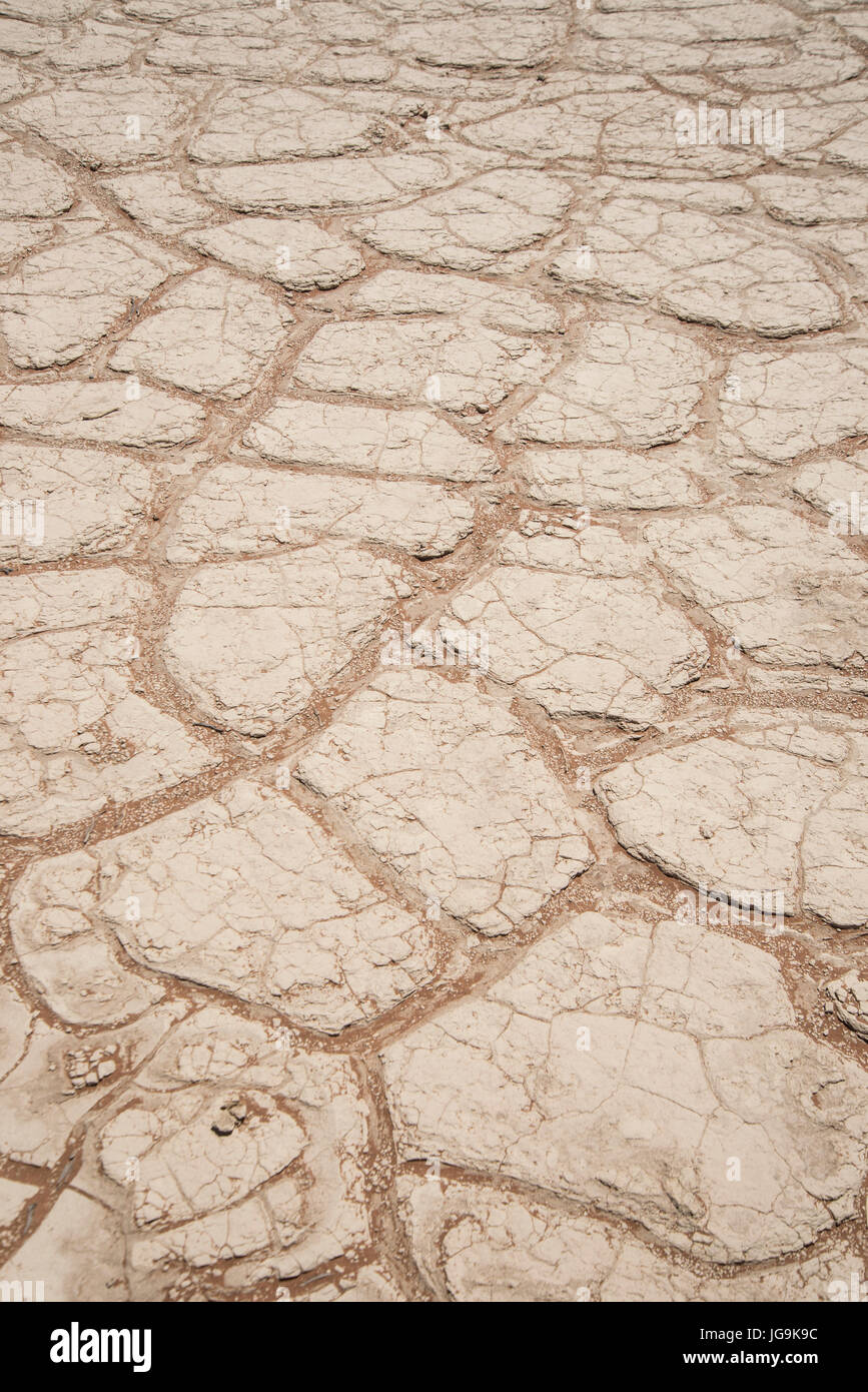 Getrocknete Salzpfanne, Sossusvlei, Namib-Naukluft-Nationalpark, Namibia Stockfoto