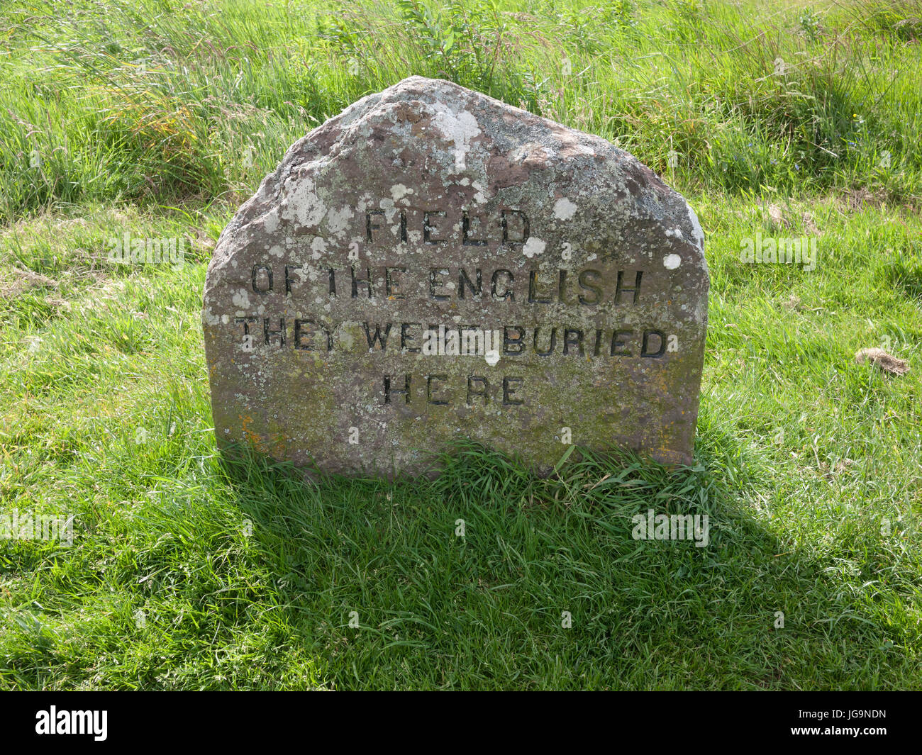 Das Schlachtfeld von Culloden in der Nähe von Inverness, Schottland, Großbritannien. Stockfoto