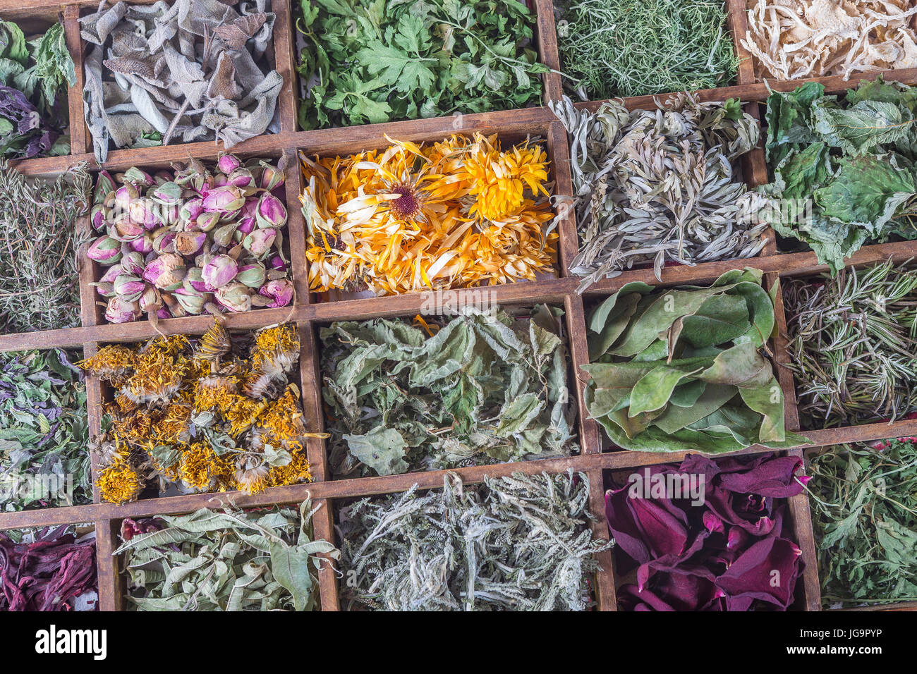 Sortiment an getrockneten Kräuter Pflanze für Tee im Fall Holzkiste Stockfoto