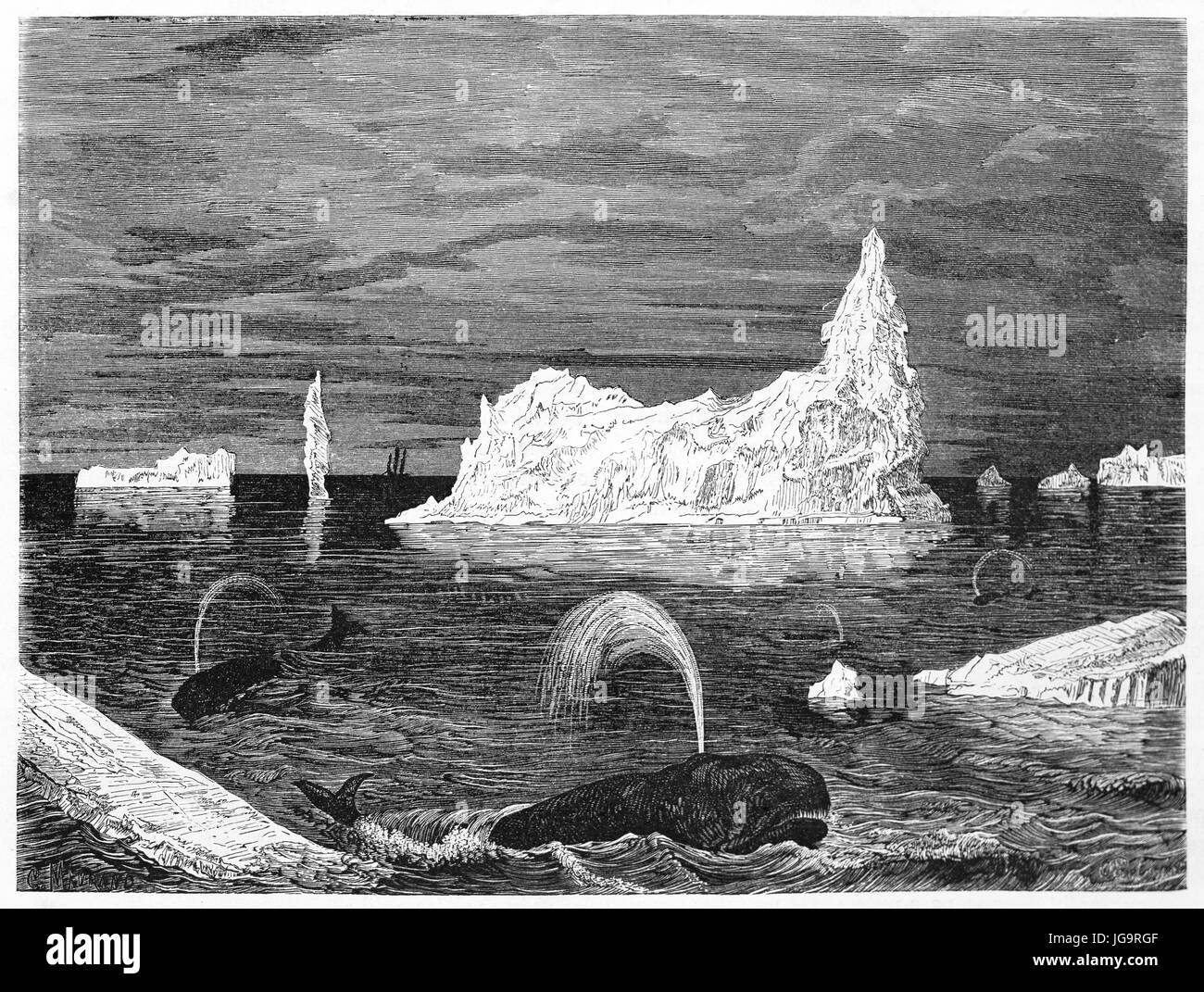 Alte Darstellung der Eisberge von der Küste von Neufundland-Insel, Kanada. Erstellt von Huet nach Deville, veröffentlicht am Le Tour du Monde, Paris, 1861 Stockfoto
