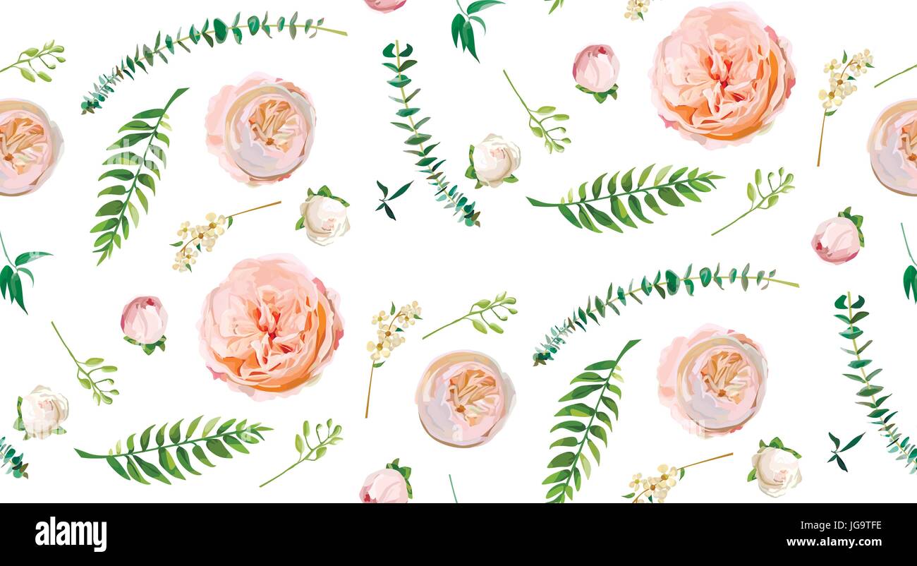 Vektor floral Sommer Musterdesign: Rosa Garten stieg grüner Farn Eukalyptus weißen kleinen Blüten Saisonpflanzen grün. Elegante Aquarell modern d Stock Vektor