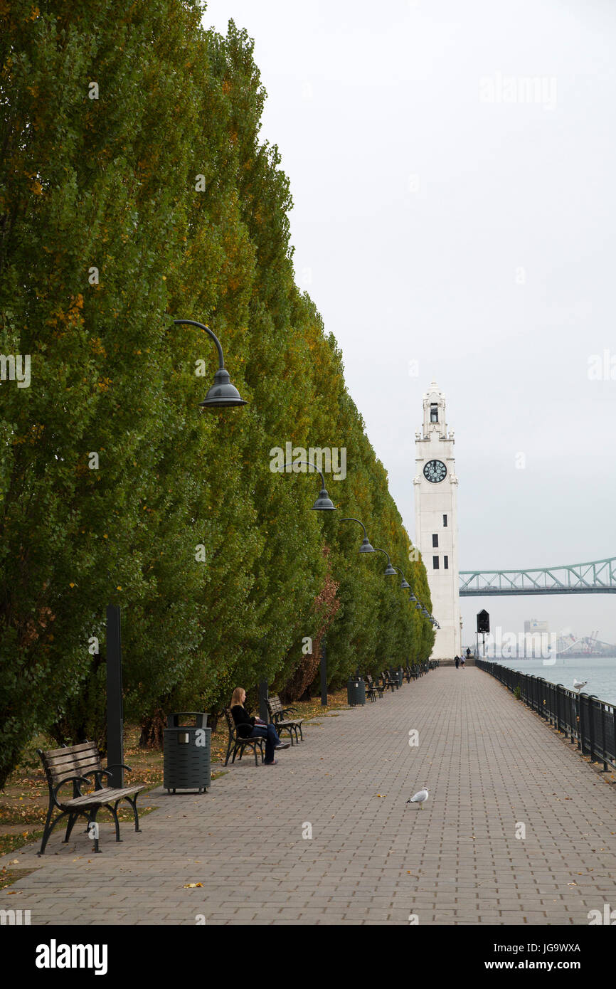 Säumen die Quai de l ' Horloge durch den St. Lawrence River in Montreal, Kanada. Einheimische wissen der Uhrturm als die Tour de l ' Horloge. Stockfoto