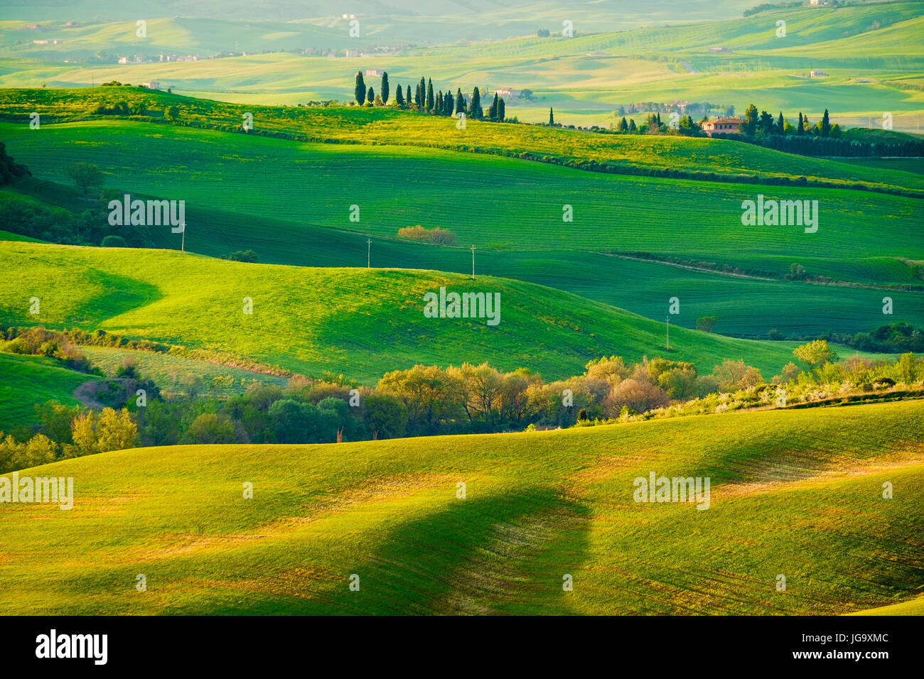 Wellen, Hügel, Hügellandschaft, minimalistische Landschaft mit grünen Wiesen in der Toskana. Italien Stockfoto