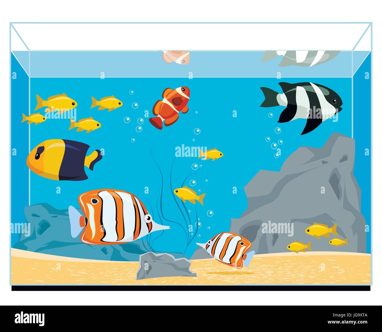 Vektor-Illustration von exotischen Fischen im aquarium Stock Vektor