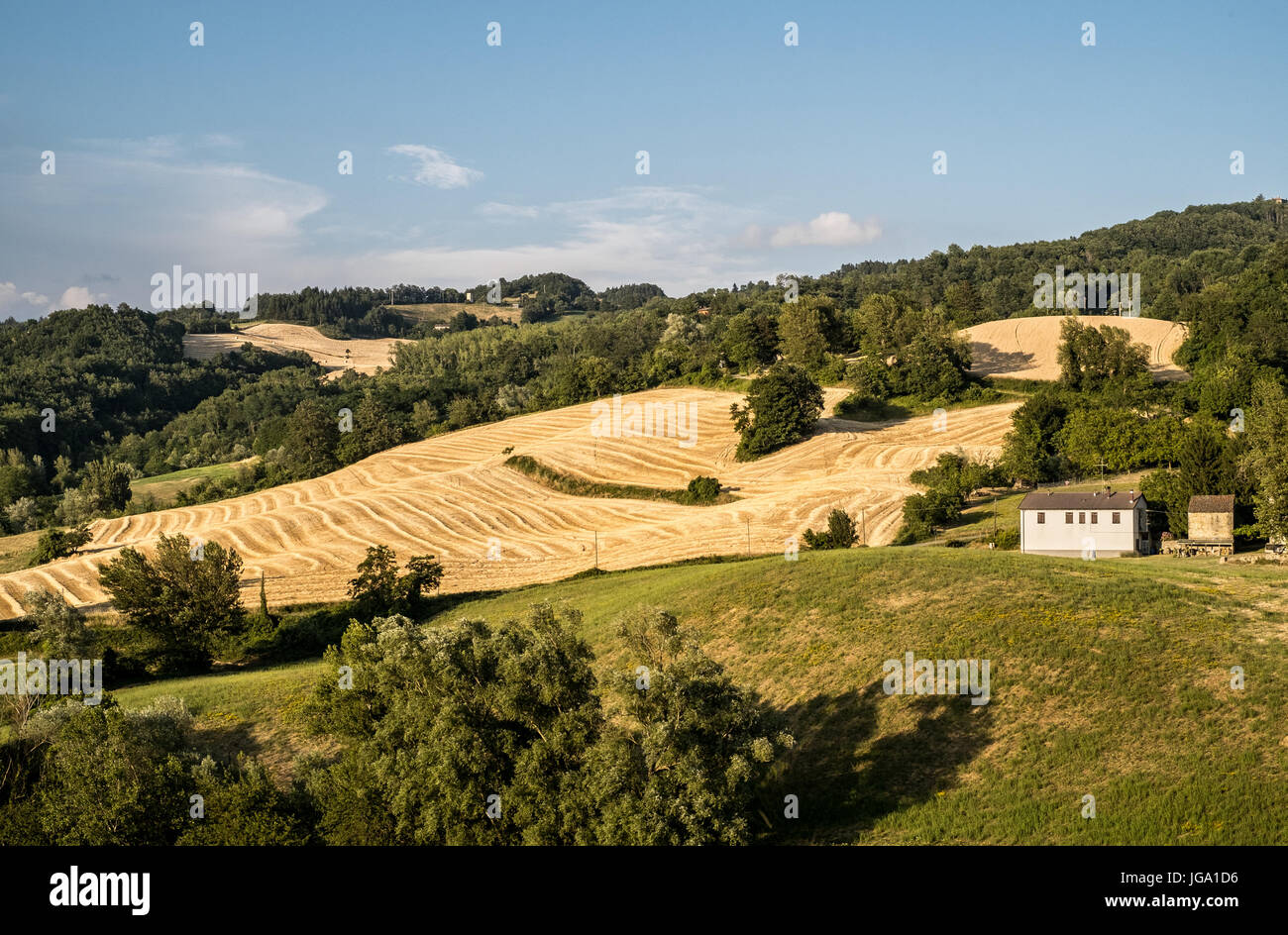 Kultivierten Hügeln in den nördlichen Apenninen. Monghidoro, Provinz Bologna, Emilia Romagna, Italien. Stockfoto