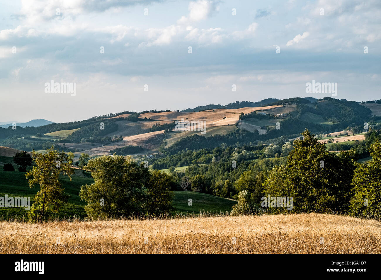 Erntezeit in den nördlichen Apenninen Stockfoto