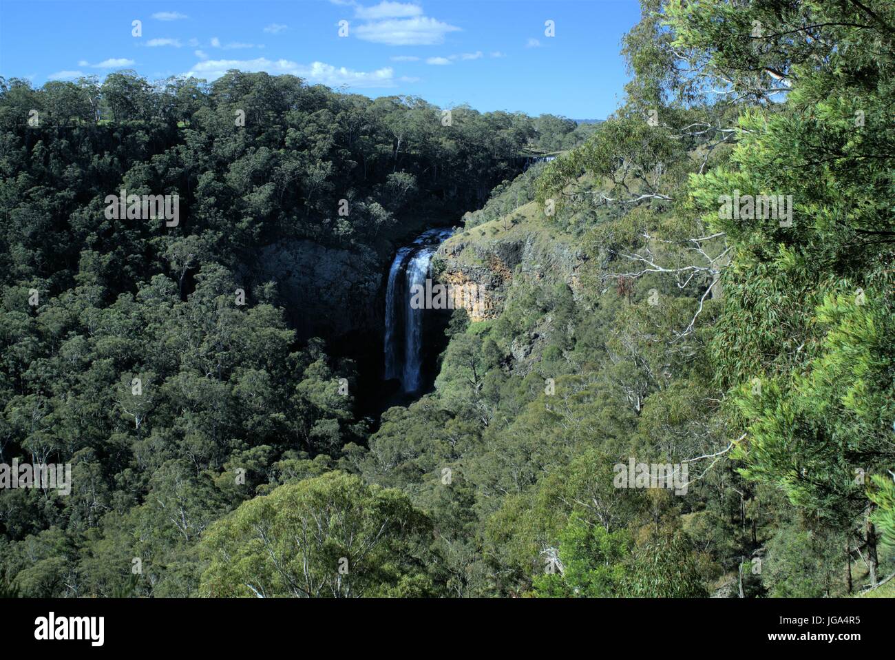 Guy Fawkes River Ebor Falls in New South Wales Australien Stockfoto
