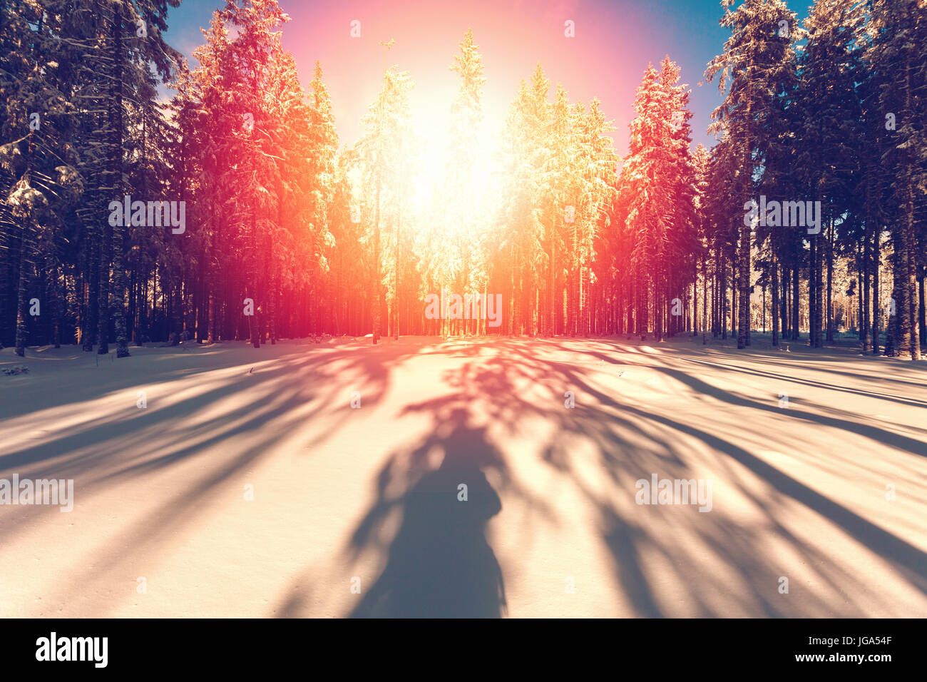Winterlandschaft mit der untergehenden Sonne Stockfoto