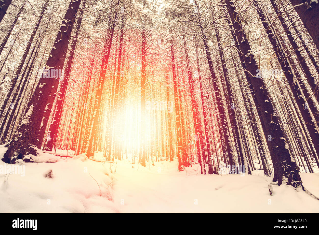 Winterlandschaft mit der untergehenden Sonne Stockfoto